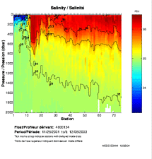 Salinity