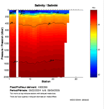 Salinity