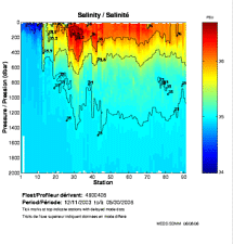 Salinity