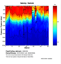 Salinity