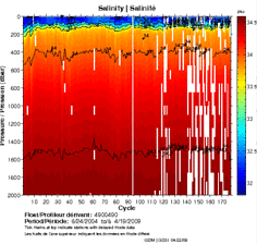 Salinity