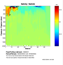 Salinity