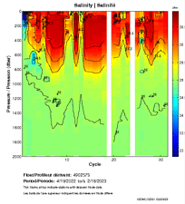 Salinity