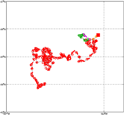 Surface Drift Track