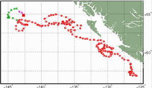 Surface Drift Track