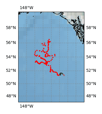 Surface Drift Track